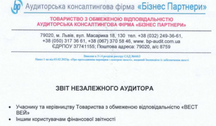 Оприлюднення аудиторського звіту